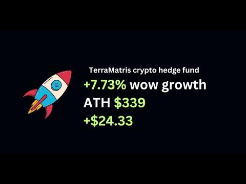 Embedded thumbnail for #18 Weekly Insights from Terramatris crypto hedge fund: Portfolio Surges to $339.24